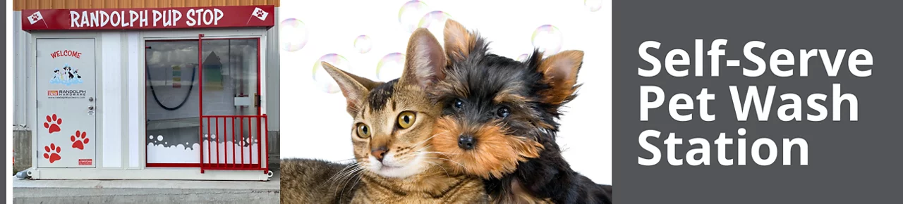 Self-Serve Pet Wash Station