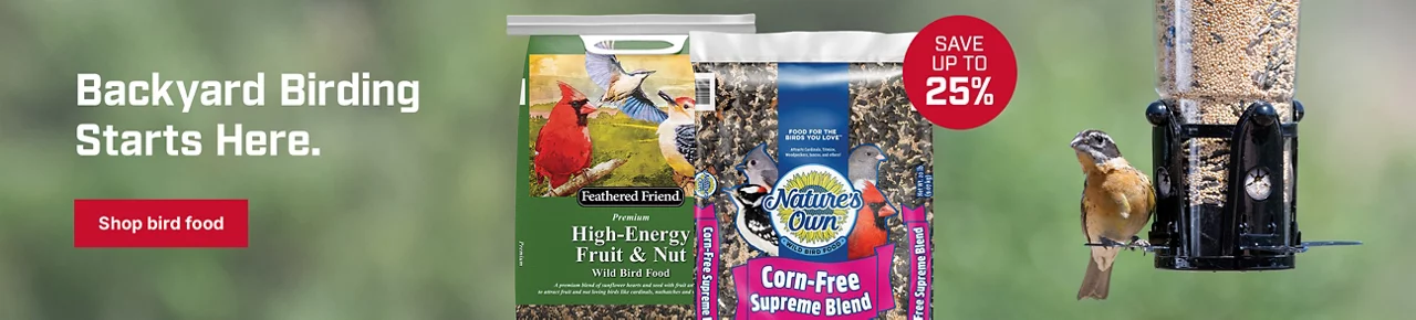 Backyard Birding Starts Here. Save up to 25% on bird food!