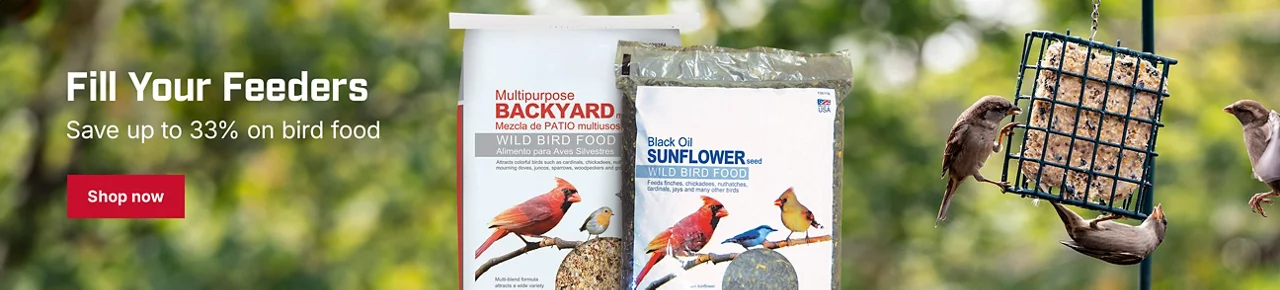 Save up to 33% and fill your feeders! | Shop bird food