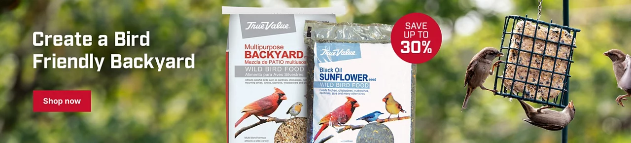 Create a Bird Friendly Backyard with Up to 30% off on Bird Food