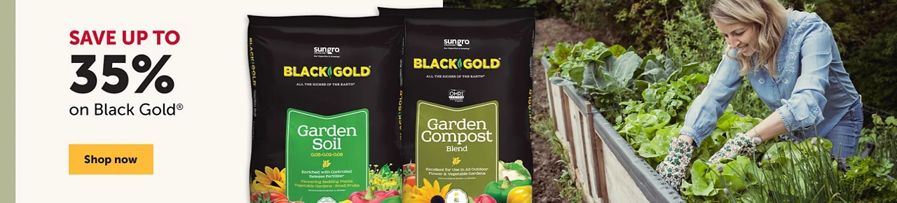 Save up to 35% on Black Gold -Shop now
