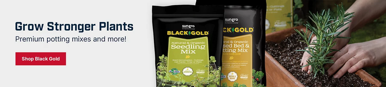 Grow Stronger Plants with Premium Potting Mixes and More! Shop Black Gold
