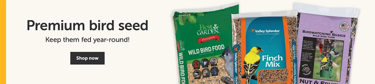 Premium bird seed - Keep them fed year-round! Shop now 