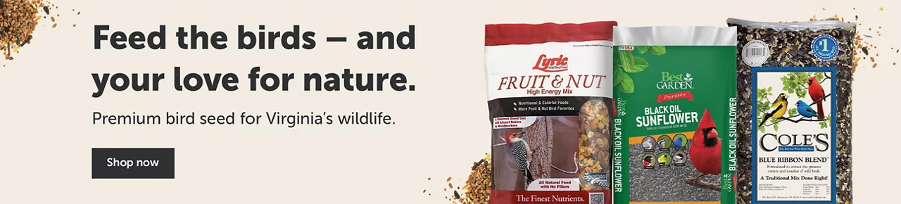 Spring Bird Feeding - Shop Bird Seeds