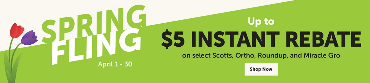 Spring Fling Instant Rebate