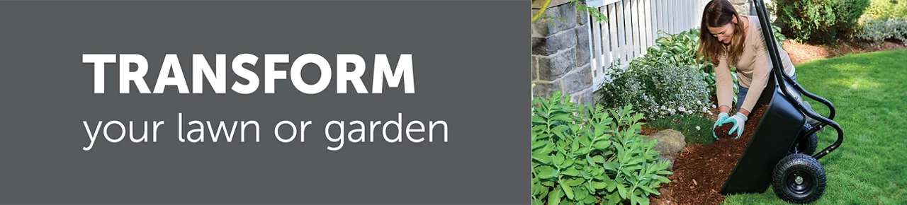 Transform your lawn or garden