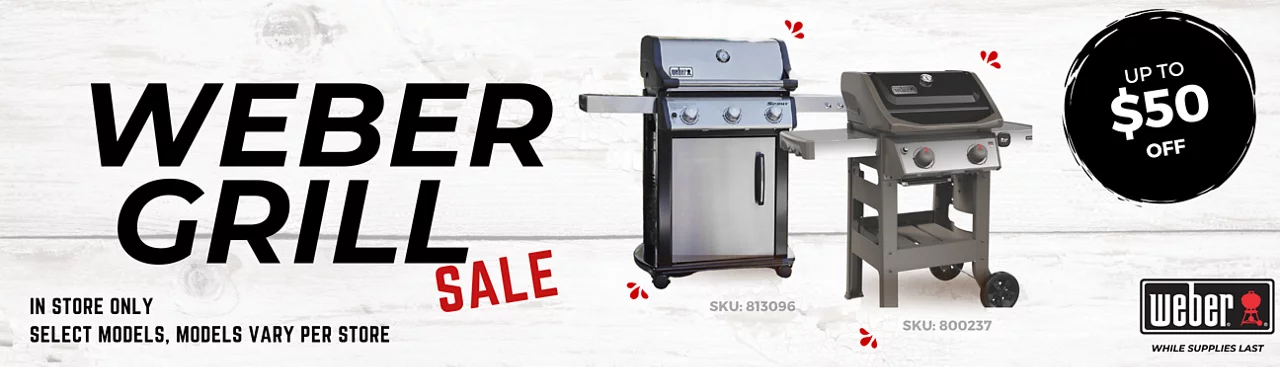 Weber Grill Sale