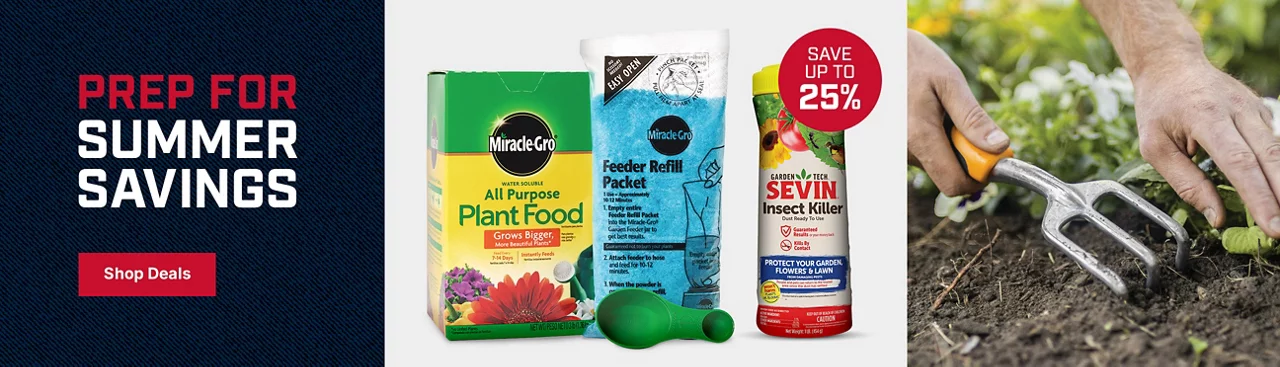 Prep for Summer Savings! Shop now