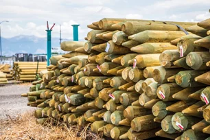 fence posts