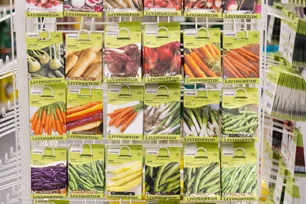 seeds
