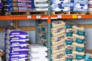 animal feed
