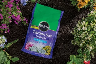 miracle-gro soil