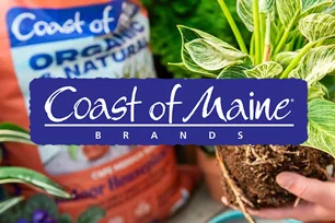coast of main brands