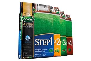 Scotts steps