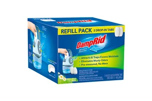 damp