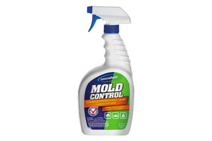  mold
