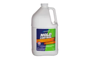 mold