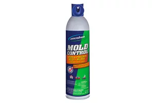 mold