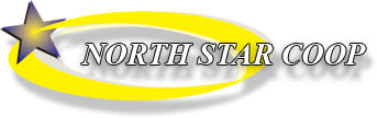 north-star Homepage