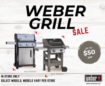 Weber Grill Sale