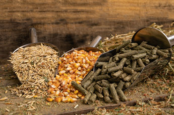 animal feed