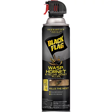 Insect & Pest Control