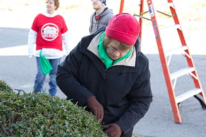 Valu Crew volunteer putting lights on bush