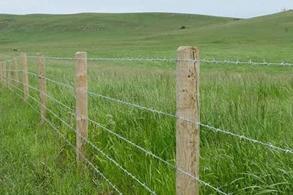 Barbed Fence