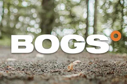 bogs