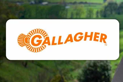 Gallagher