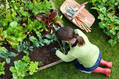 Southern States Farm Store - Your New Garden Checklist