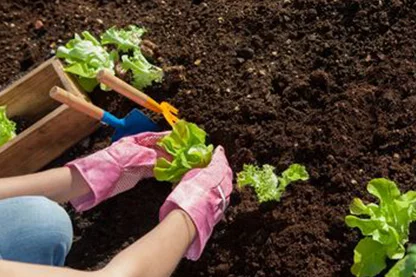 Southern States Farm Store - Plan Your Garden