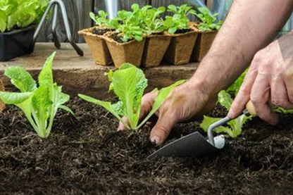 Southern States Farm Store - When to Plant