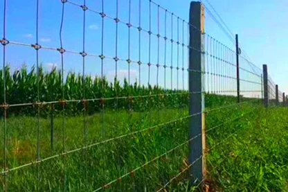 Horse Fence