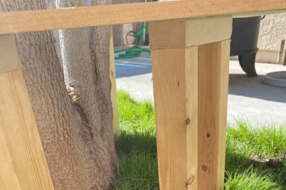 tree bench wood layout