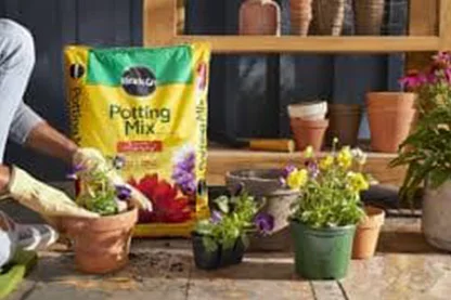 Miracle Gro