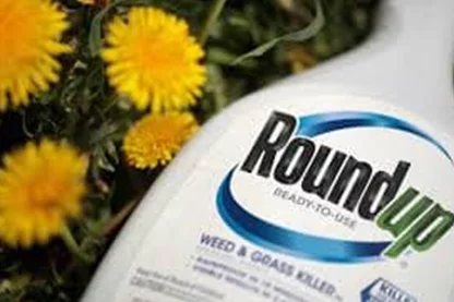 Round Up