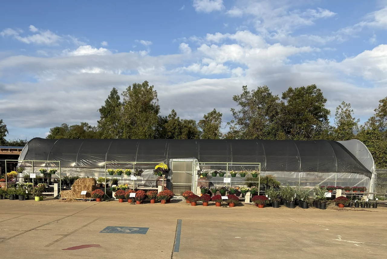 Garden Center at Nabors Home Center Houston