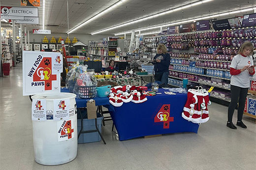 Our Latest Pet Adoption Event
