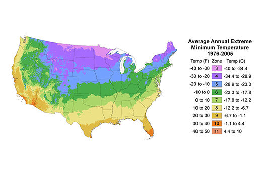 How to Know Your USDA Plant Hardiness Zone