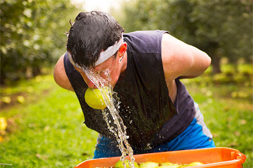 The 2015 Apple Bobbing Championship!