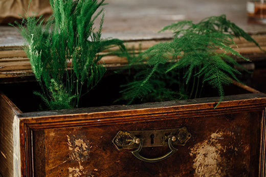Creative Ideas for Decorative Indoor Landscaping