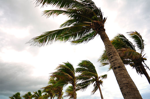 Before the Storm: How to Prepare for Hurricanes at Home