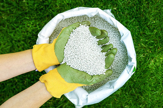 How to Choose the Best Lawn Fertilizer