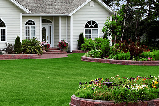 How to Have the Best Lawn on the Block