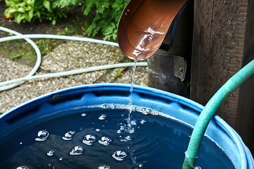 Water Conservation: How to Build a Rain Barrel
