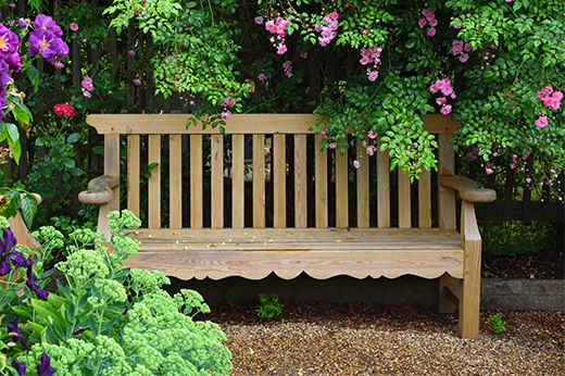 Definitive Guide to Building a Simple Bench