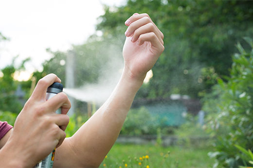 Choose the Right Insect Repellent