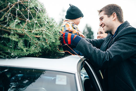 Where to Find Christmas Trees in Hampton Roads