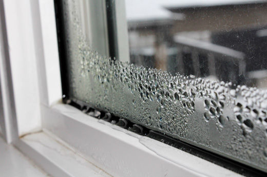 Condensation on Windows: How to Fix It